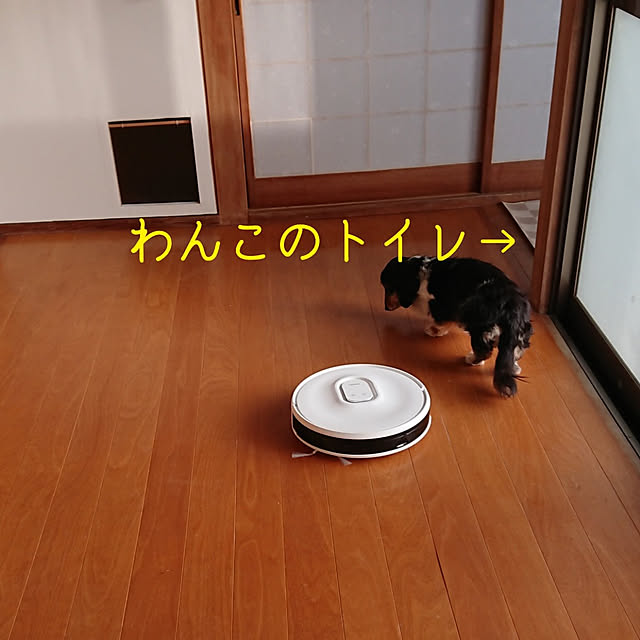 taiyoさんの実例写真