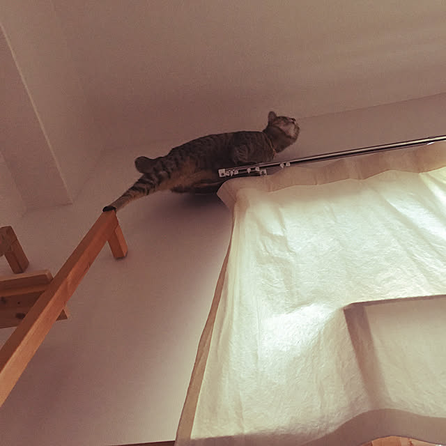 Mさんの実例写真