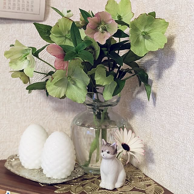 mofukoさんの部屋