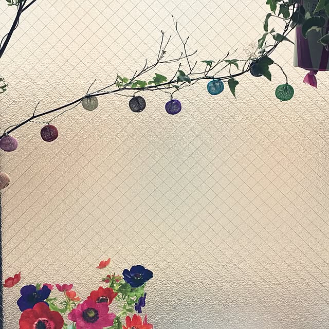 705さんの実例写真