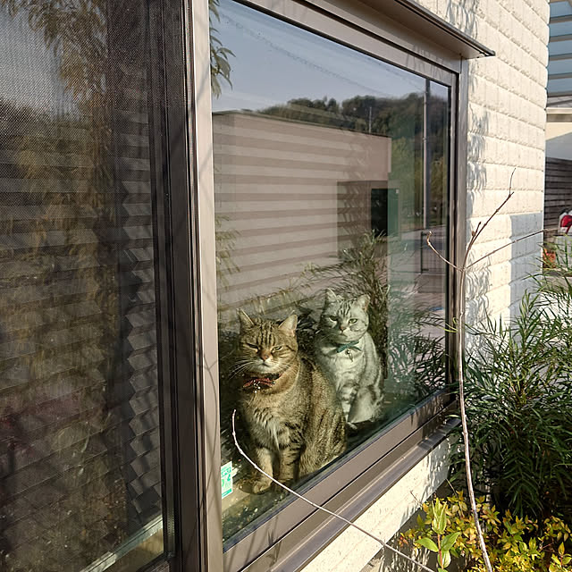 NANACOCOさんの実例写真