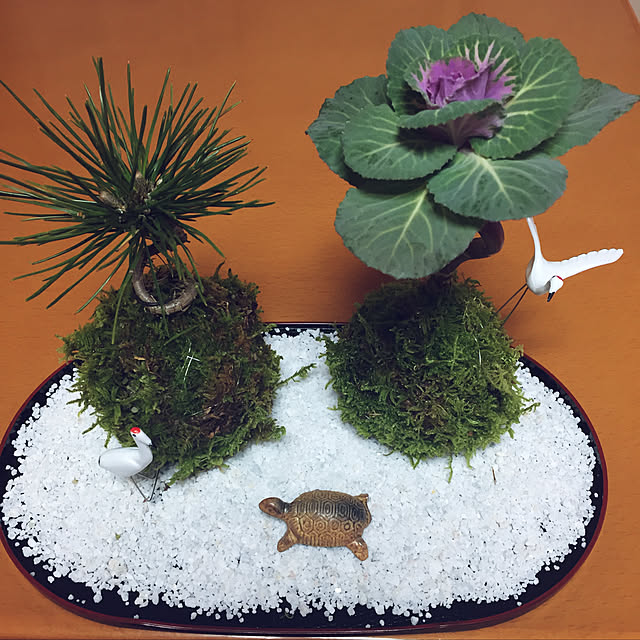 noutenki1103さんの実例写真