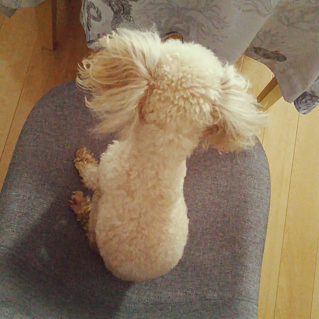 katuminaloveさんの実例写真