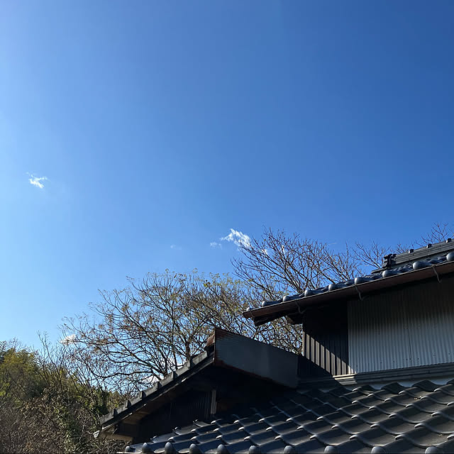 koshiregutyoさんの実例写真