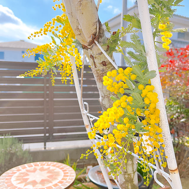 eriharuさんの実例写真