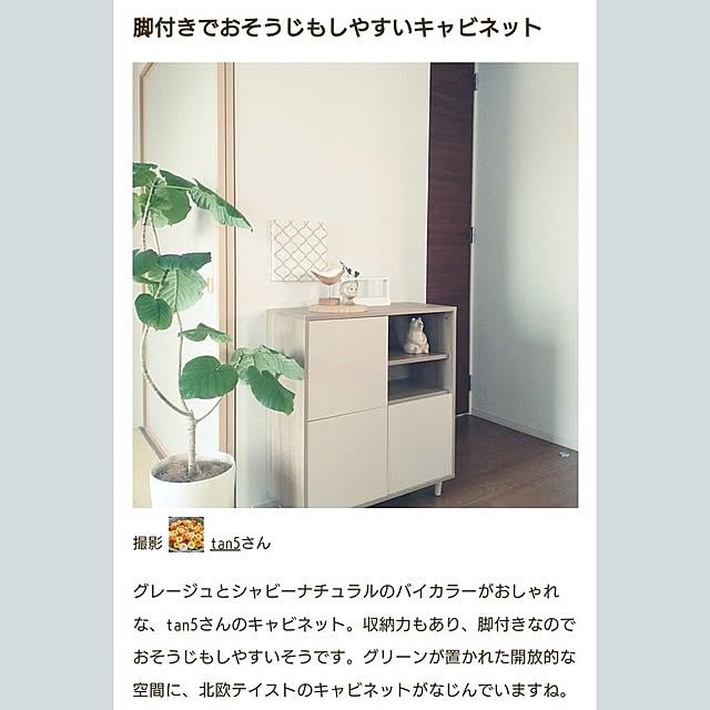 tan5さんの実例写真