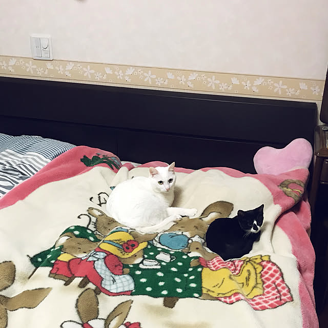 akuakuさんの実例写真
