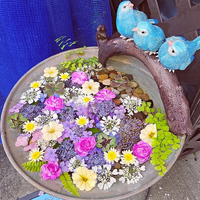 mocomocoさんの部屋