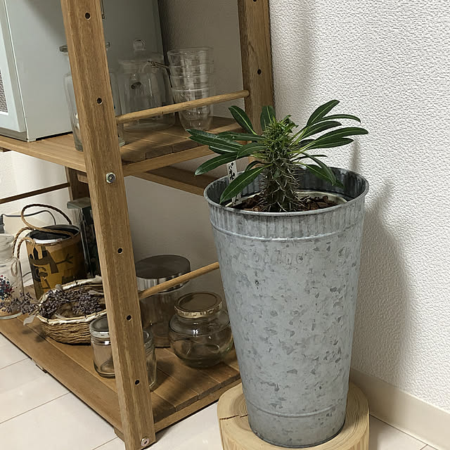 cosa999sc1さんの実例写真