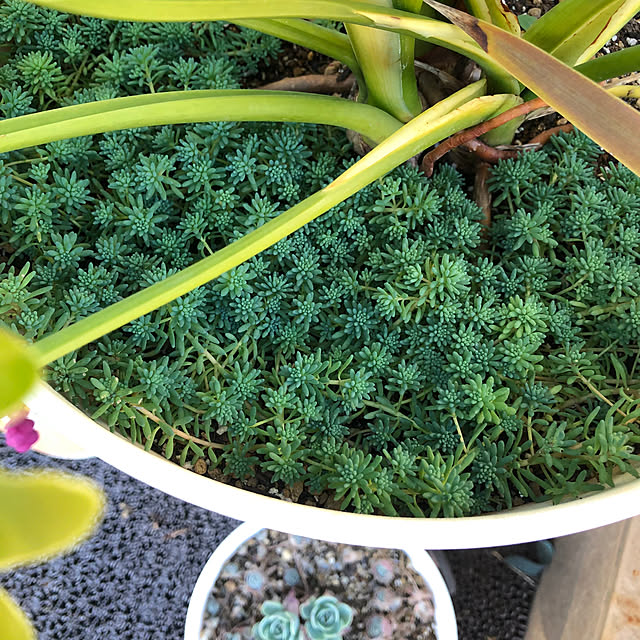 hiroさんの部屋