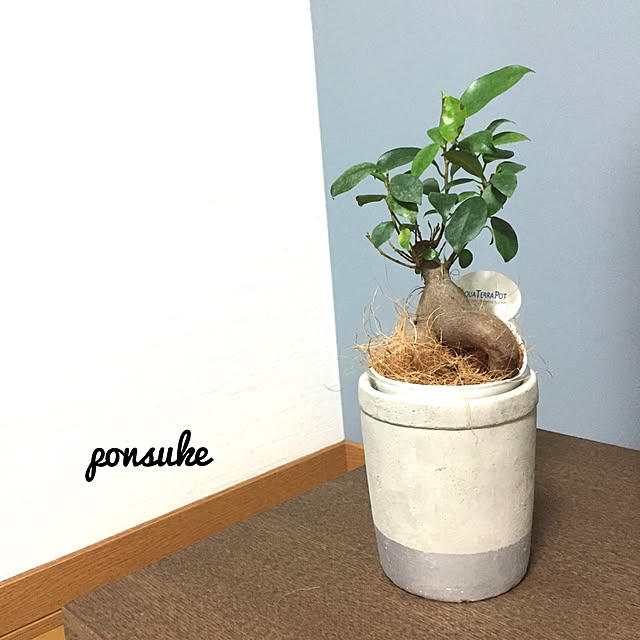 ponsukeさんの実例写真