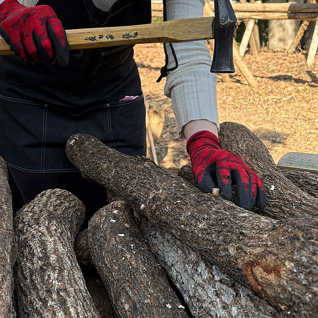 up0524さんの部屋