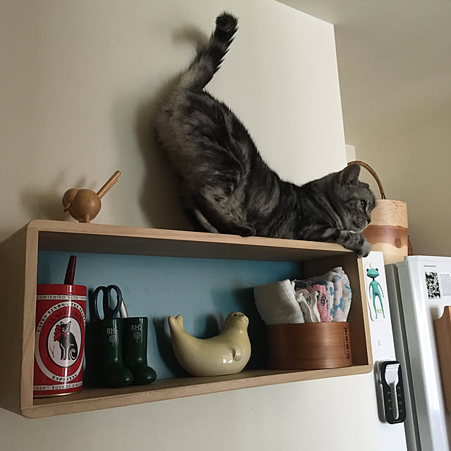 mikomaruさんの実例写真