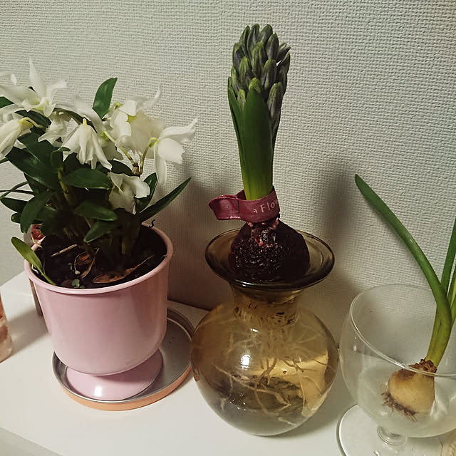 aoiさんの実例写真