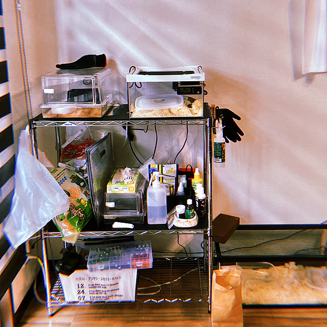 bil_li_onさんの実例写真
