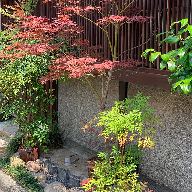 KAZさんの実例写真