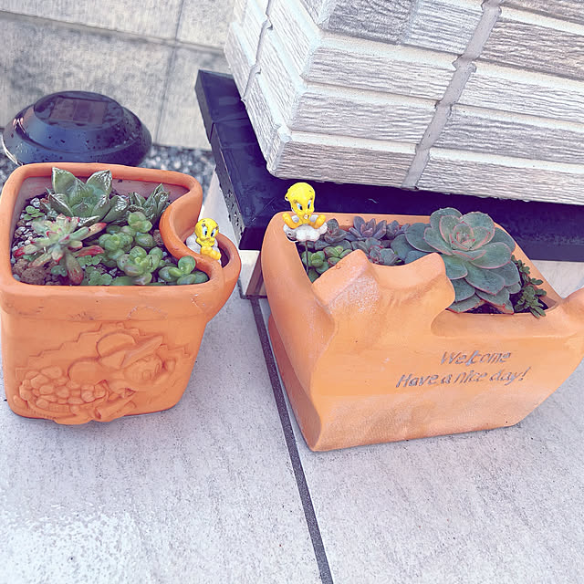 makiさんの実例写真