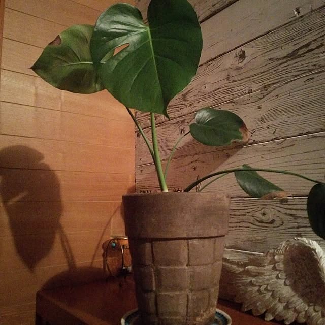 woodyさんの実例写真