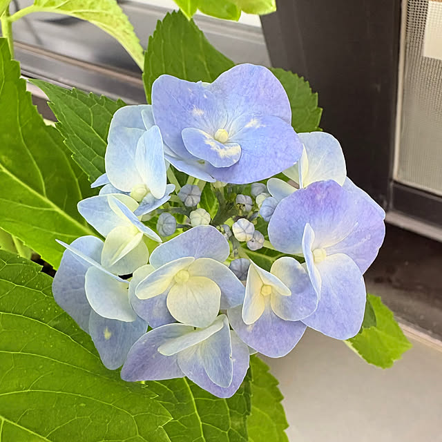 mikiさんの部屋