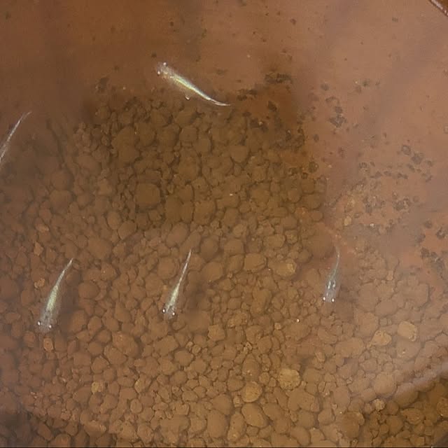 monnさんの実例写真