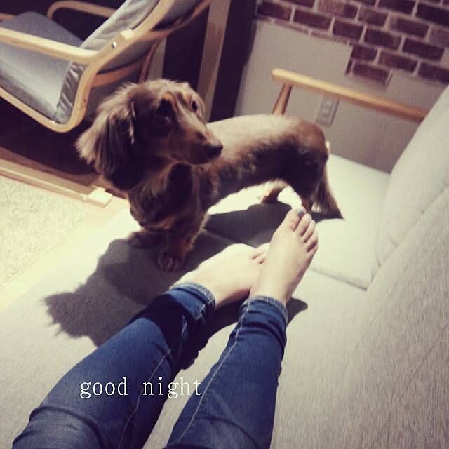 Akaneさんの実例写真