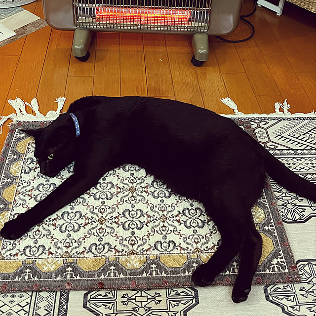 jijiさんの実例写真