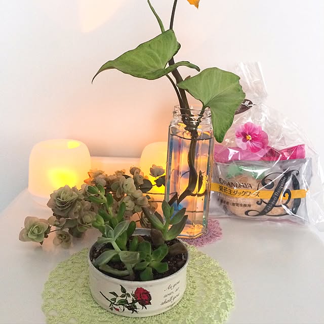 kimuraruさんの実例写真