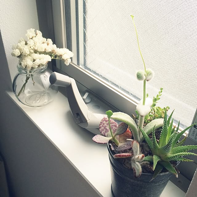 emospice7716さんの実例写真