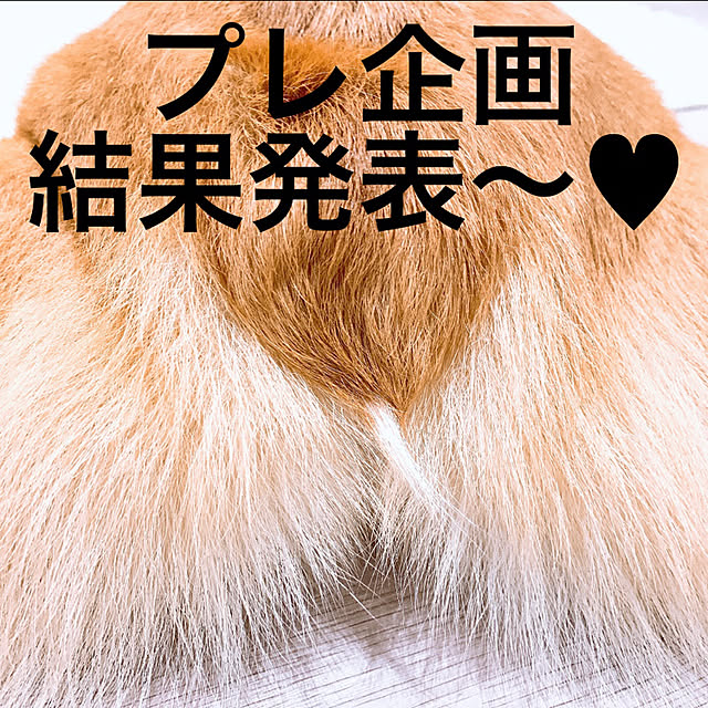 3ayuさんの実例写真