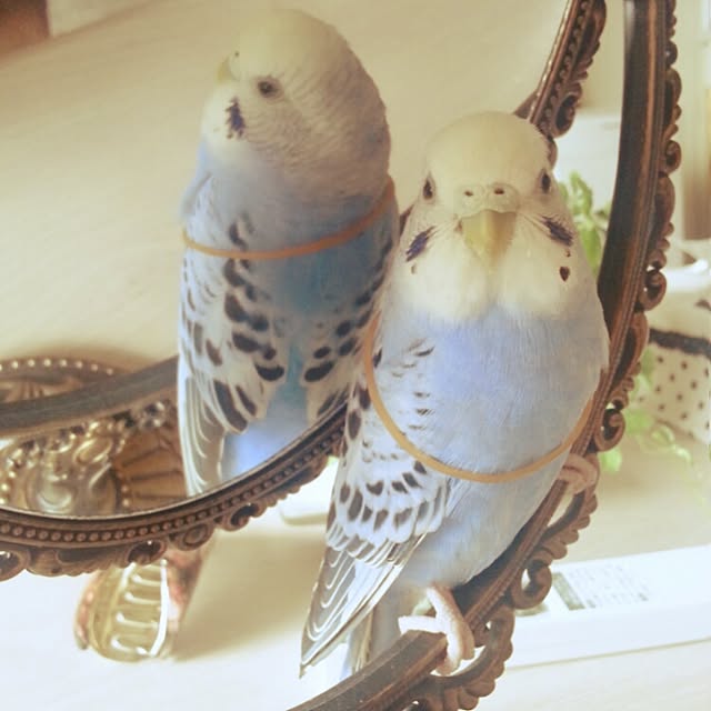 Rさんの実例写真