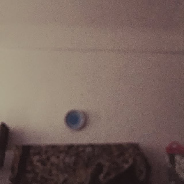 Ricaさんの実例写真