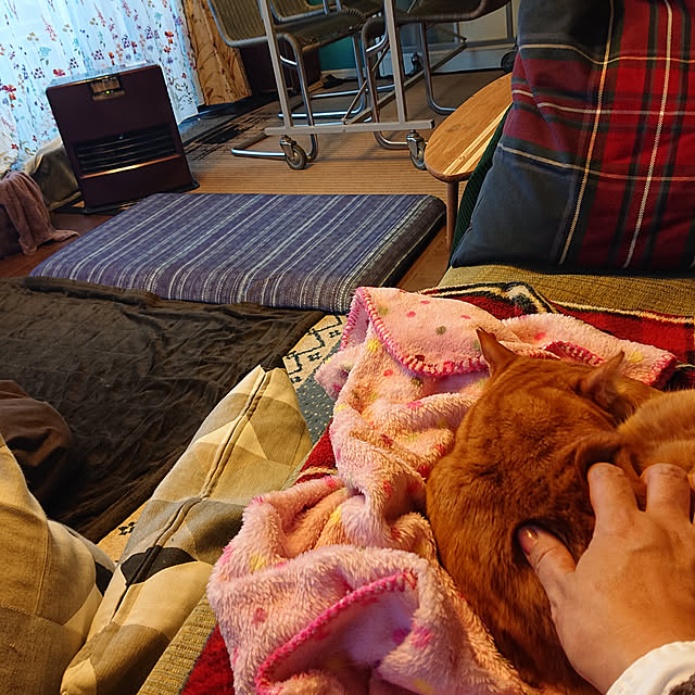 okyosan101さんの実例写真