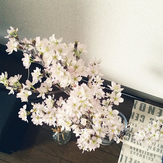 pinkoさんの実例写真