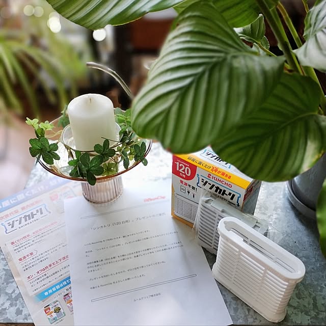 jinさんの実例写真