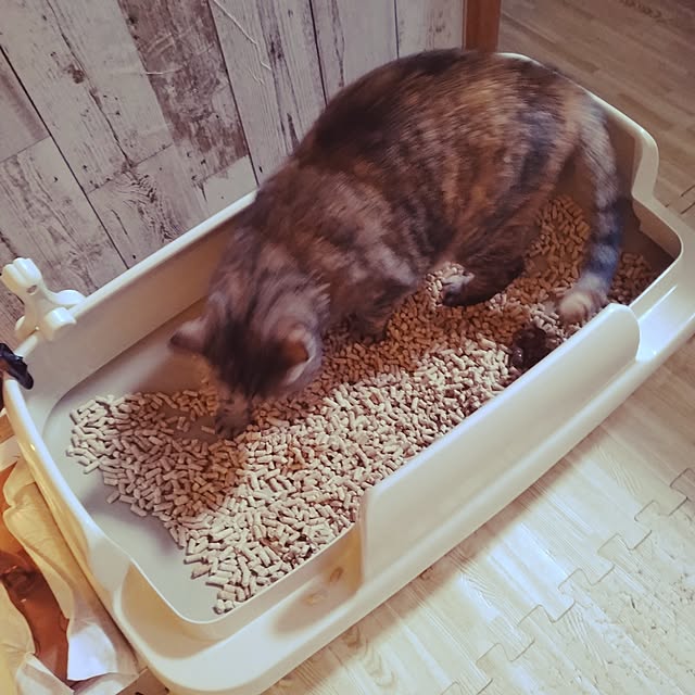 runaさんの部屋