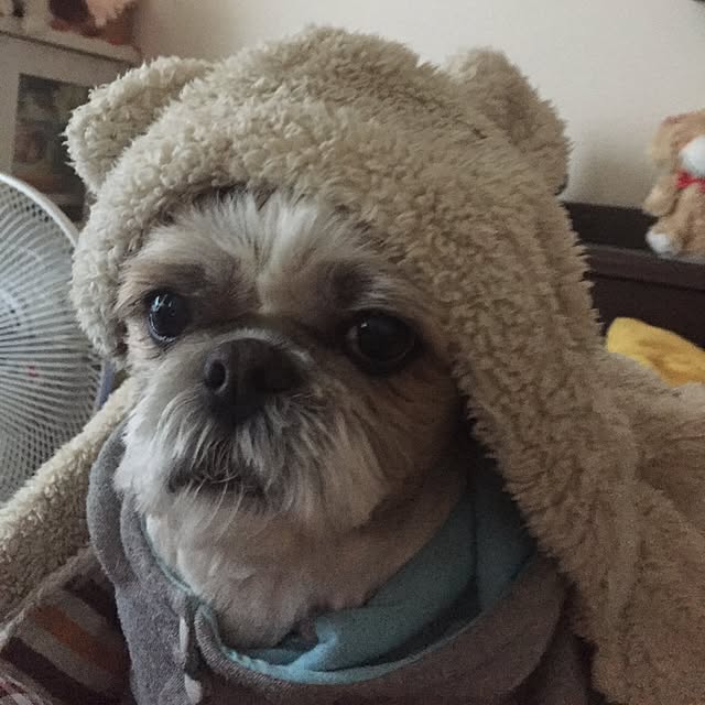 emiさんの実例写真