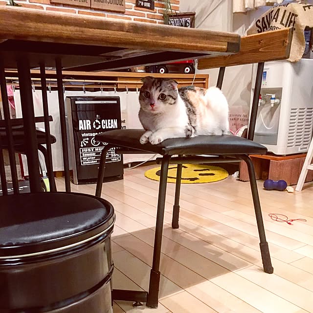 yokkochanさんの実例写真
