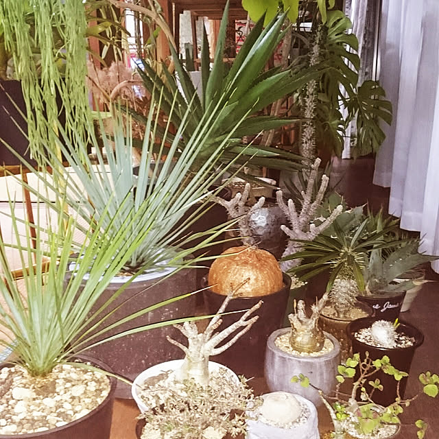 takenさんの実例写真