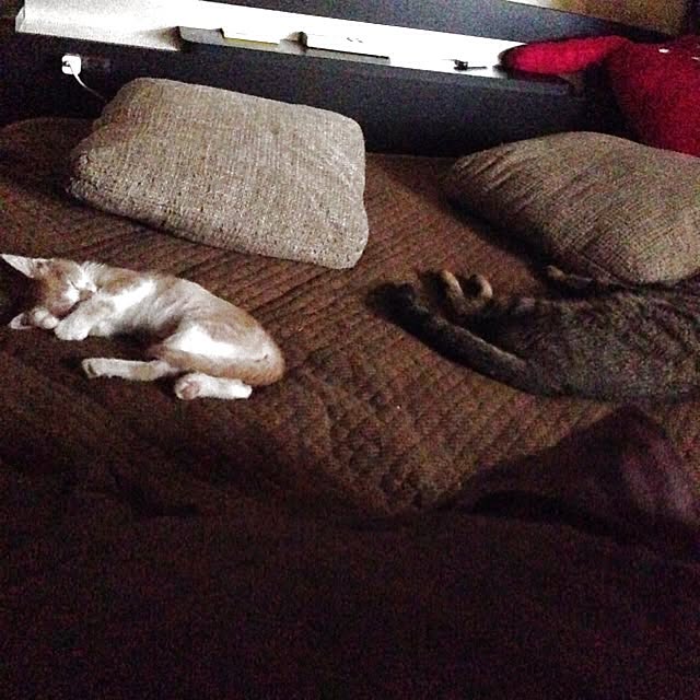Tsunさんの実例写真