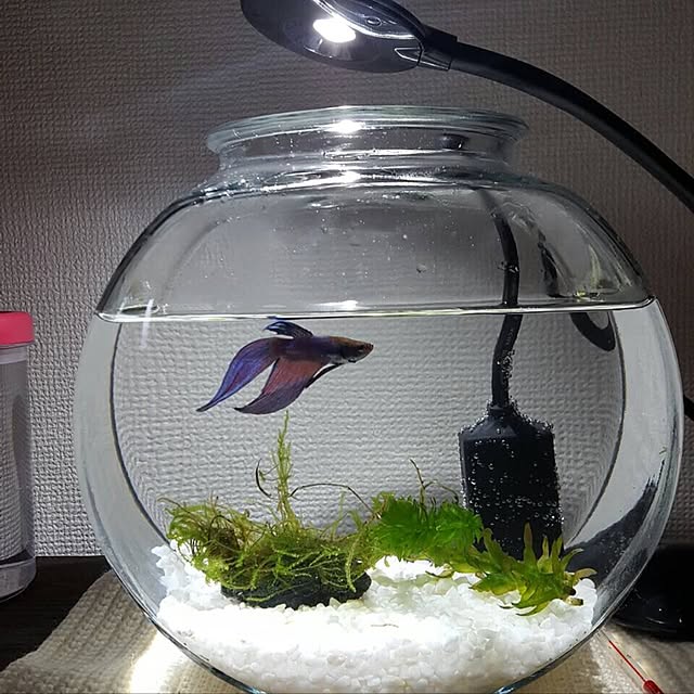 charさんの実例写真