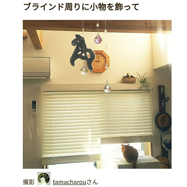 tamacharouさんの実例写真