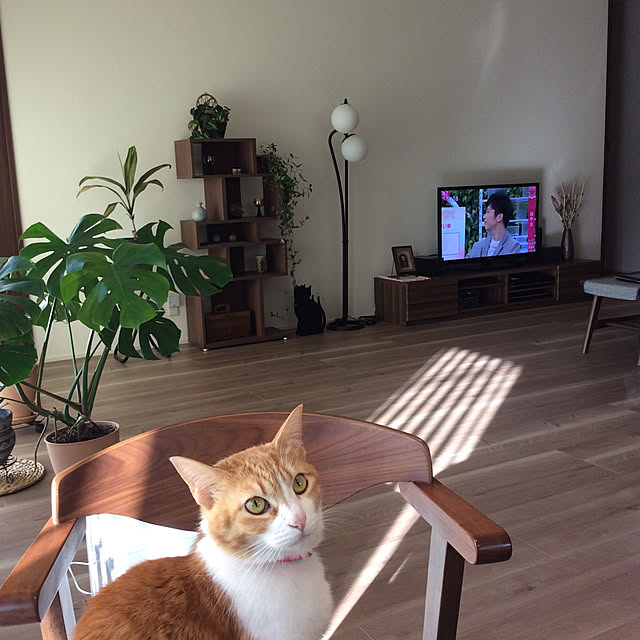 houenさんの実例写真