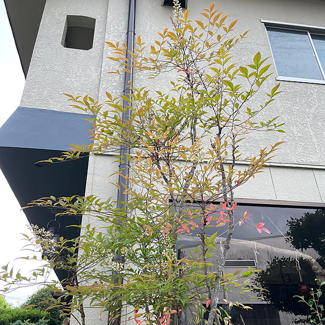shin0719さんの実例写真