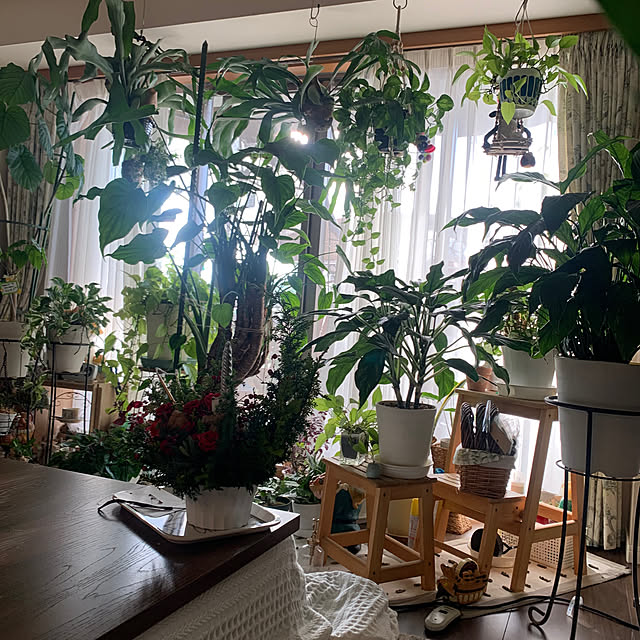 Aqettyさんの部屋