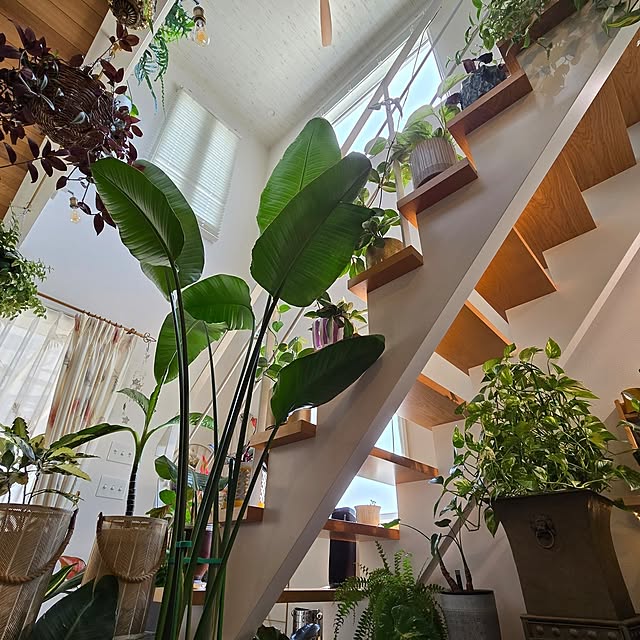 nonbiri_house_さんの実例写真