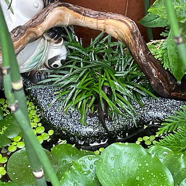 sakuranboさんの実例写真