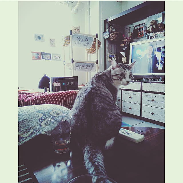 mntcさんの実例写真