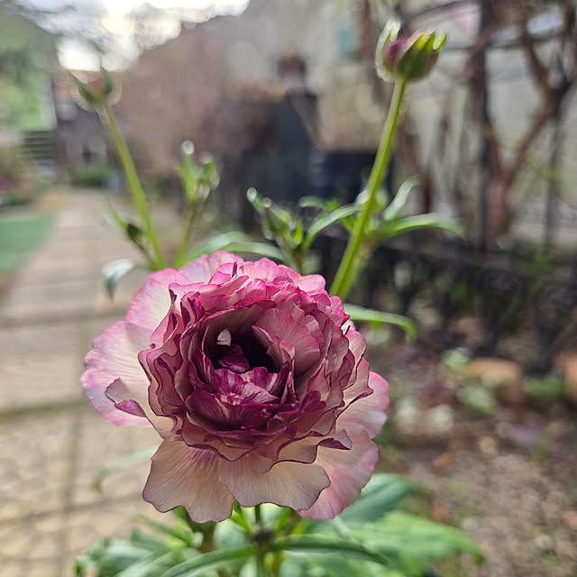 min_nimさんの部屋