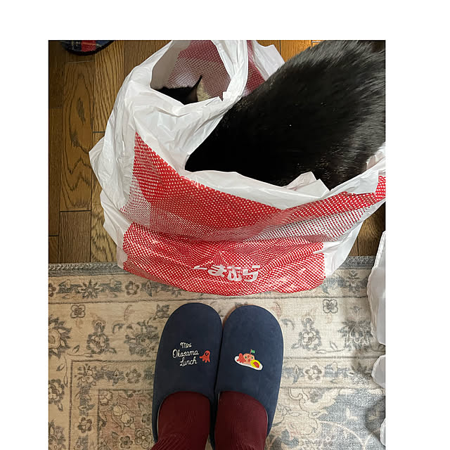 momocchiさんの実例写真
