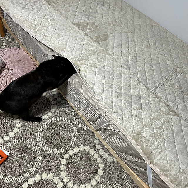 mimiさんの部屋